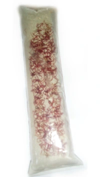 Levende Røde myggelarver 90 ml (levende foder - Bloodworms) 5 stk